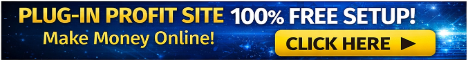 Plug-In Profit Site